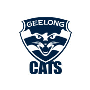 AFL logo 1